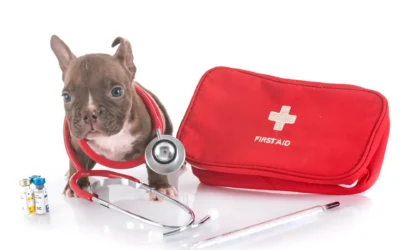 Corso Pet First Aid