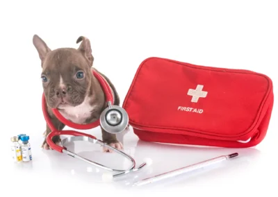 Corso Pet First Aid