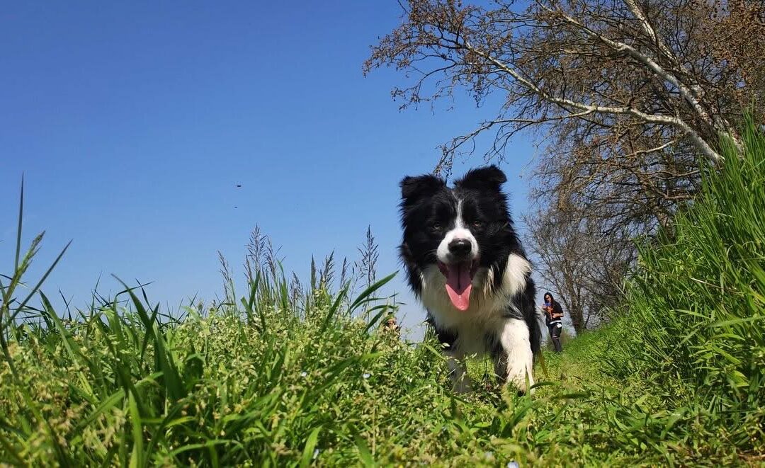 LE EMOZIONI COME STRUMENTO PER CAMBIARE LO STATO EMOTIVO
